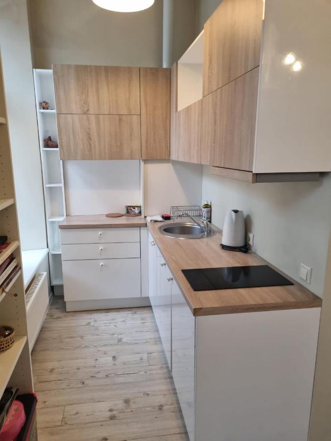 Igo Apartment Uzupis VNO Exterior photo